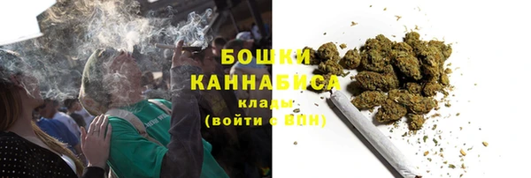 ПСИЛОЦИБИНОВЫЕ ГРИБЫ Алексеевка