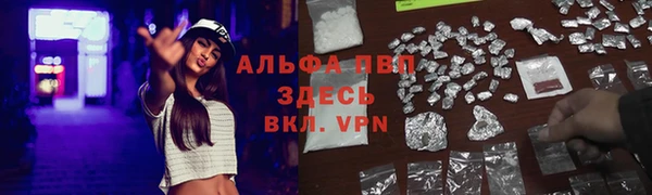 PSILOCYBIN Алексин