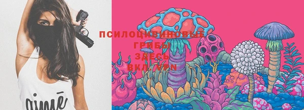 PSILOCYBIN Алексин