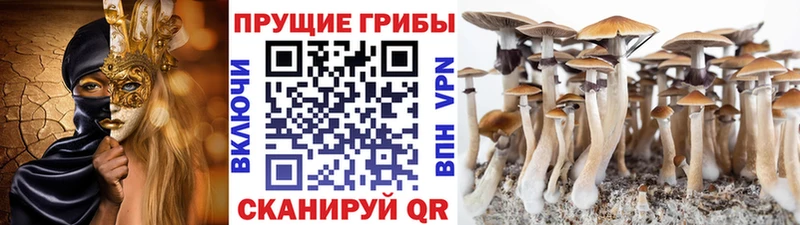 Псилоцибиновые грибы мухоморы  ОМГ ОМГ   Курганинск 