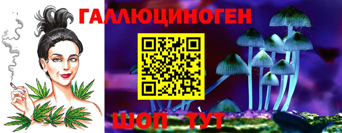 Галлюциногенные грибы прущие грибы  Вход с VPN  Курганинск 
